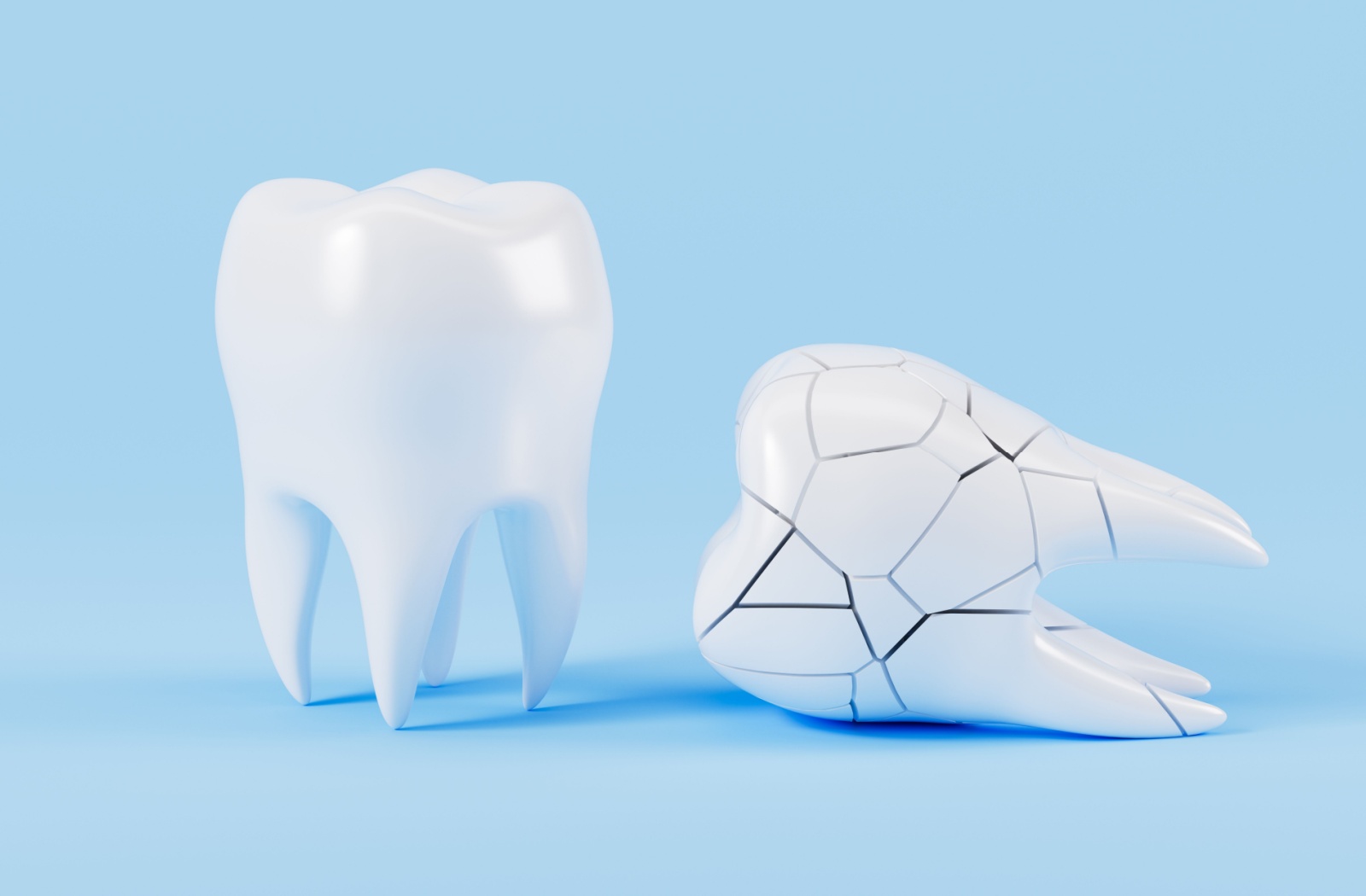 A model of a natural tooth beside a tooth with several cracks.